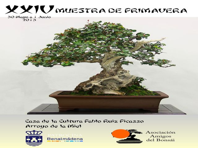 XXIV Muestra de Primavera de Bonsai y Suiseki